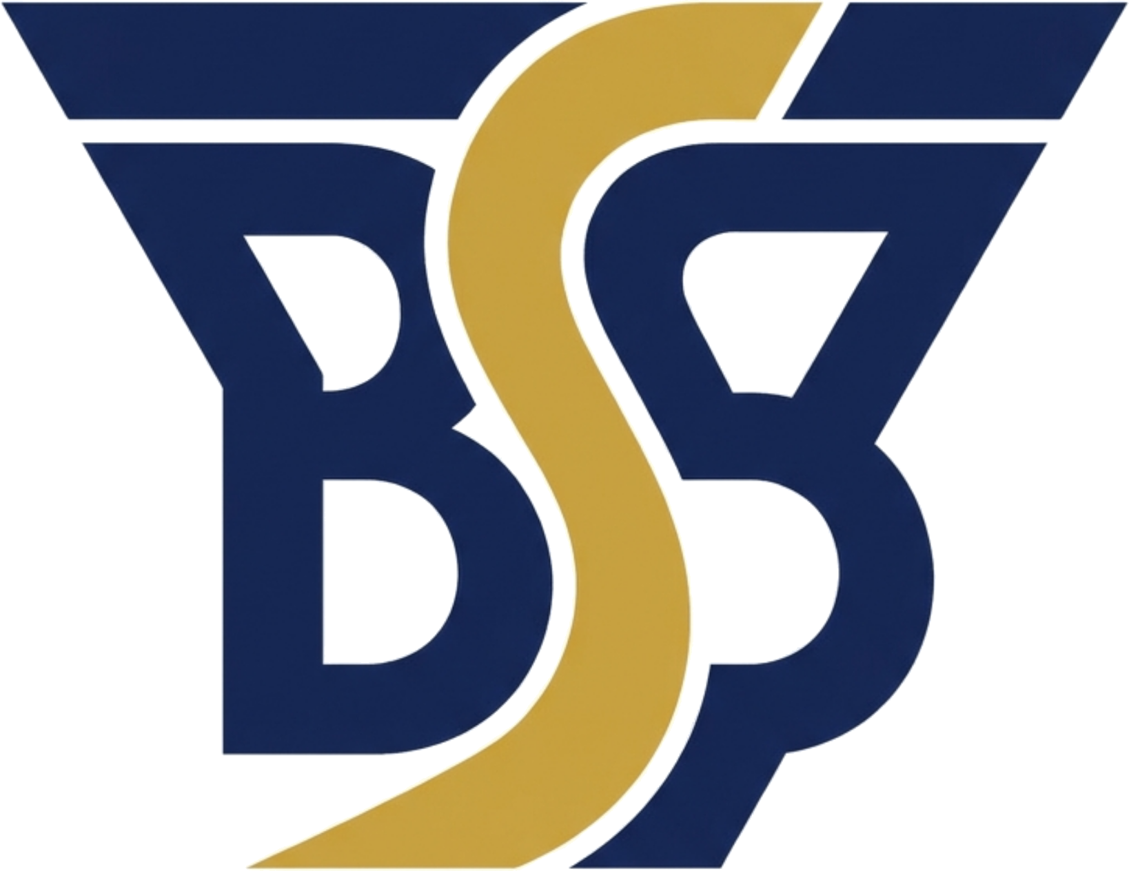 Business Bottleneck Score logo
